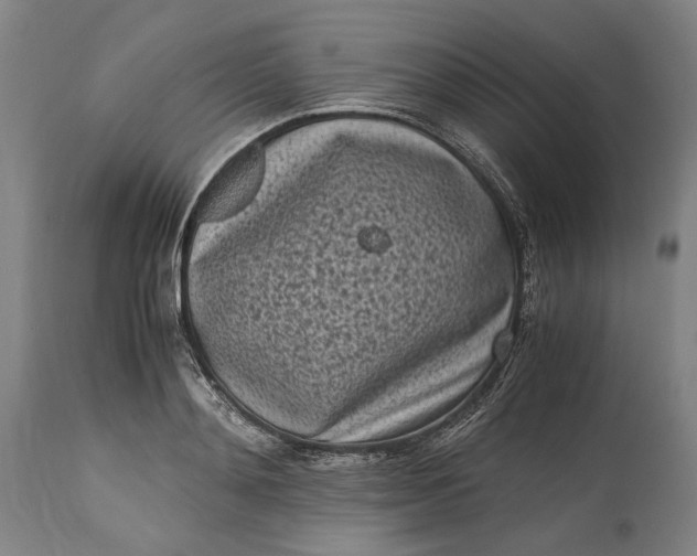 X0000115300892200911161655