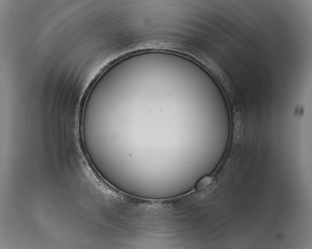 X0000115300896200911161655