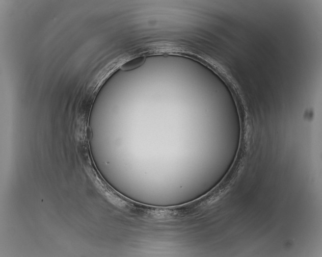 X0000115300897200911161655