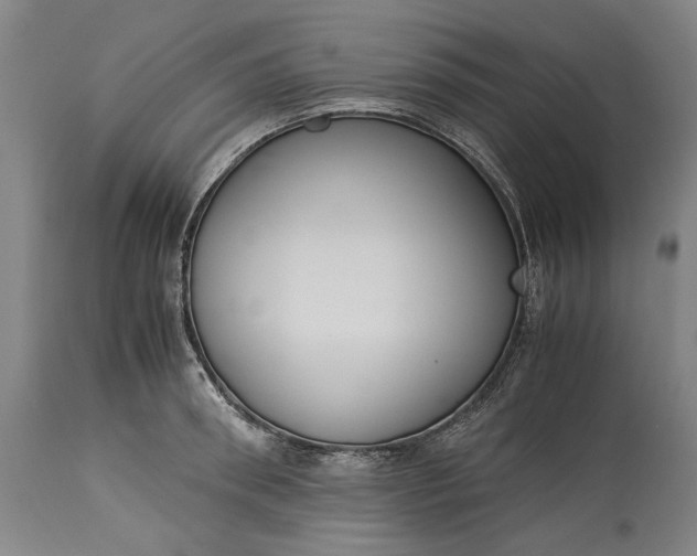 X0000115300898200911161655