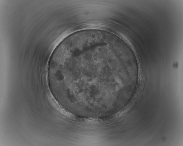 X0000115300899200911161654