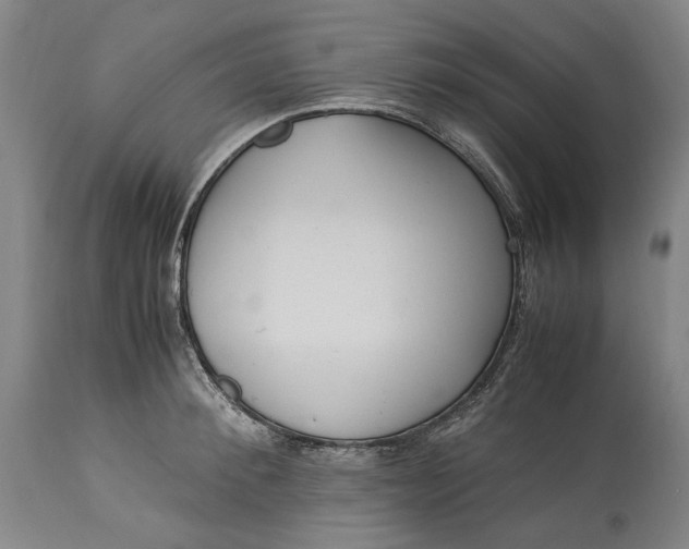 X0000115300900200911161654