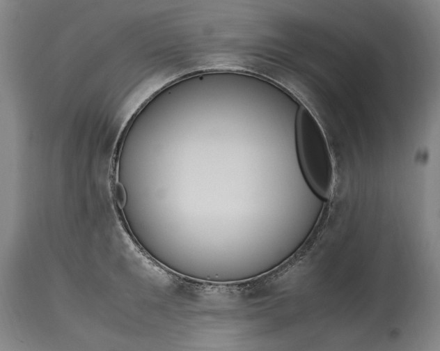 X0000115300901200911161654