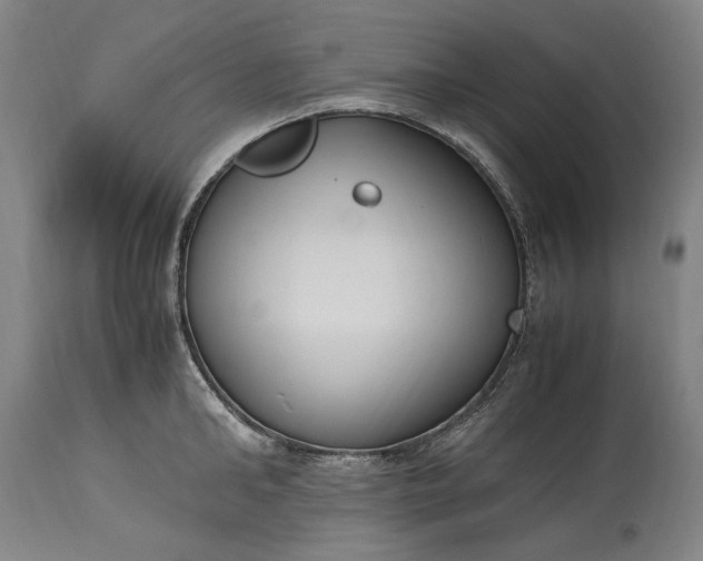 X0000115300902200911161654