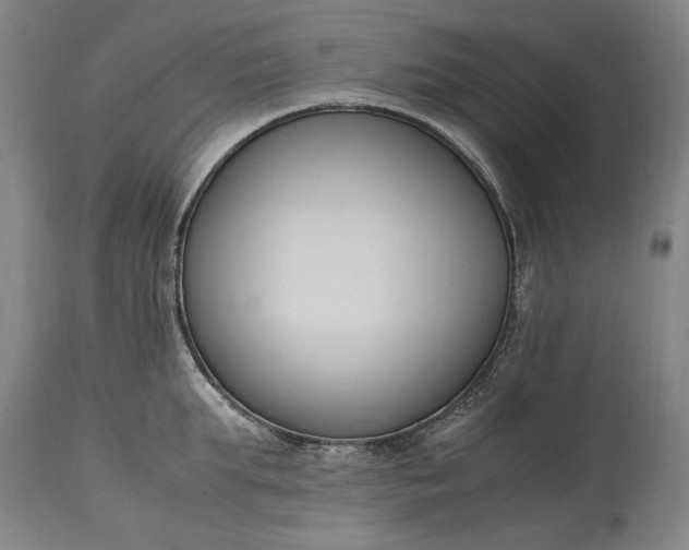 X0000115300903200911161654