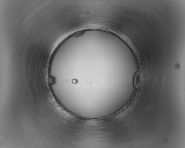 X0000115300904200911161654