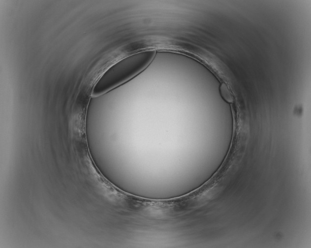 X0000115300905200911161654