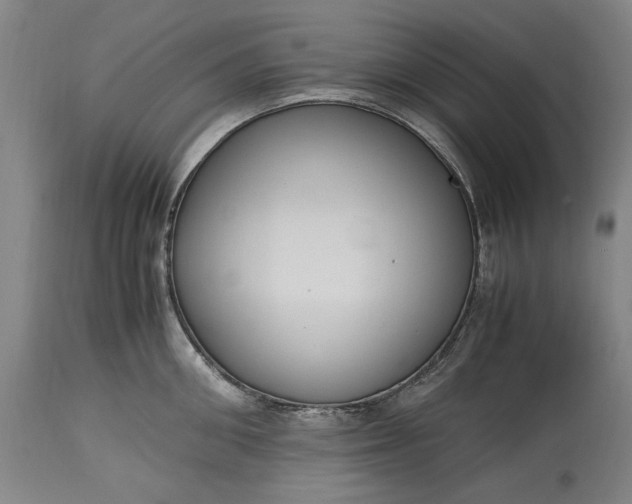 X0000115300906200911161654