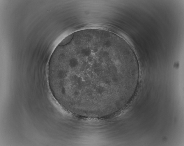 X0000115300907200911161654