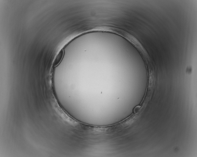 X0000115300908200911161654