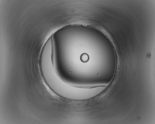 X0000115300909200911161654