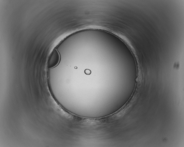 X0000115300910200911161654