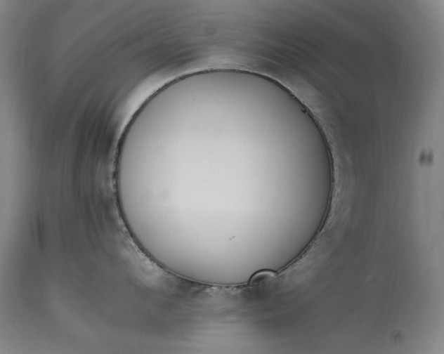 X0000115300912200911161654