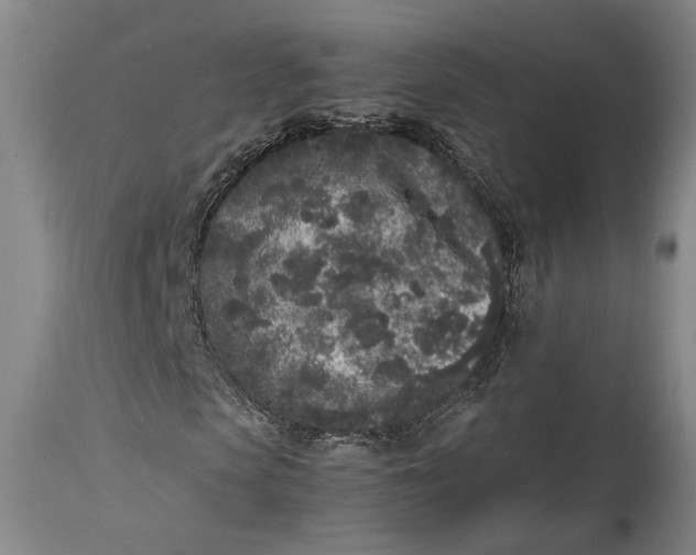 X0000115300913200911161654