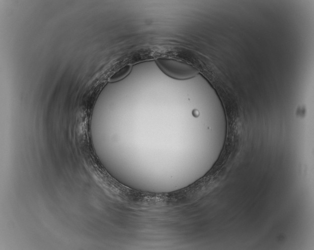 X0000115300914200911161654