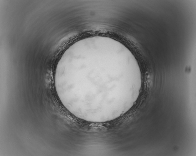 X0000115300918200911161654