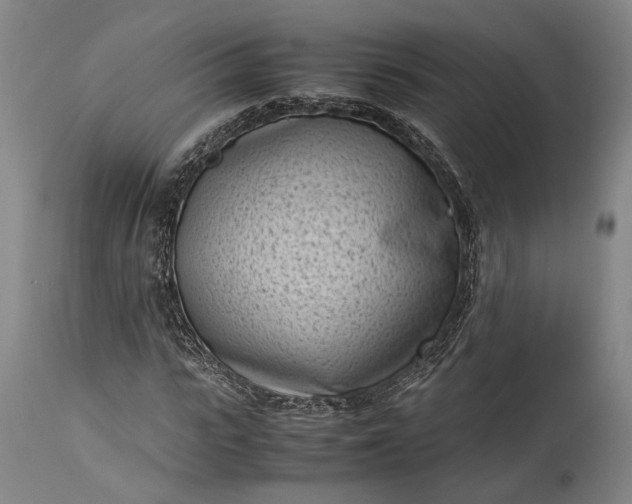 X0000115300919200911161654