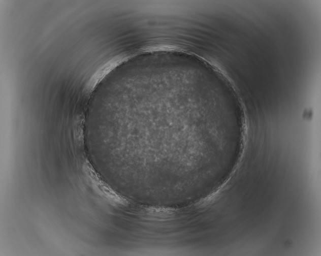 X0000115300921200911161654