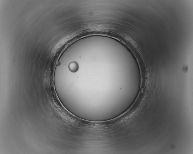 X0000115300922200911161654