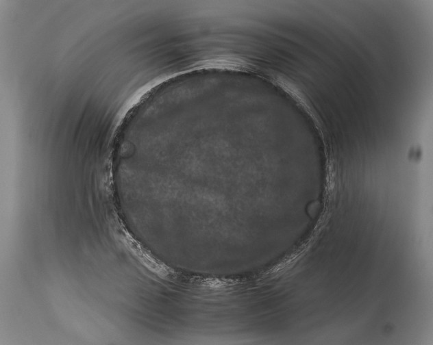 X0000115300923200911161654