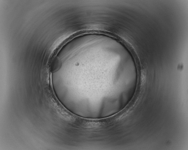 X0000115300925200911161654