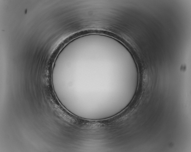 X0000115300926200911161654