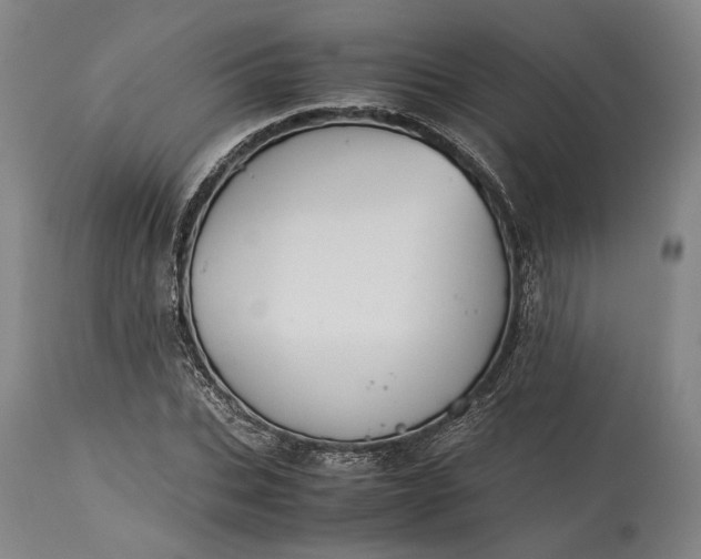 X0000115300927200911161654