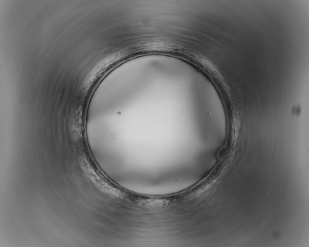 X0000115300930200911161654