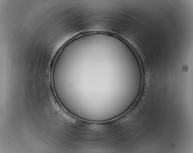 X0000115300933200911161654