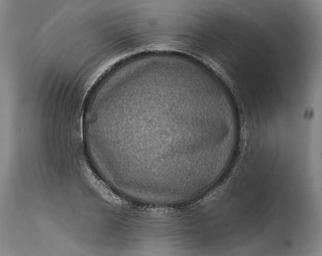 X0000115300934200911161654