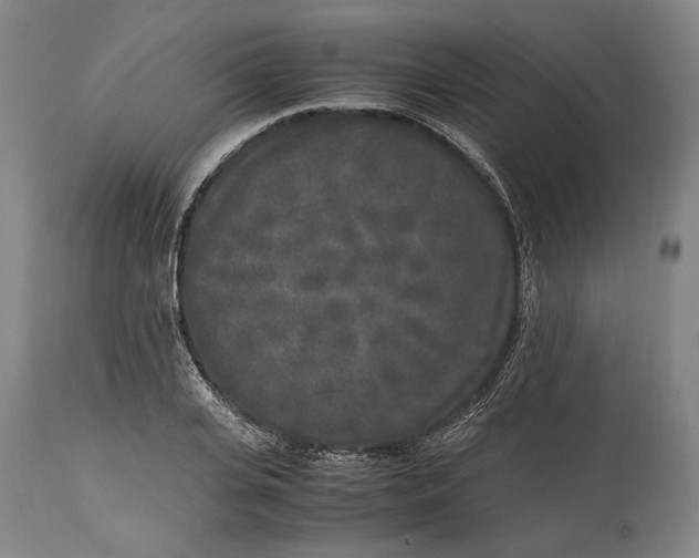 X0000115300935200911161654