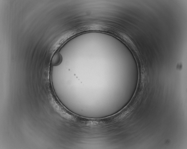 X0000115300938200911161654