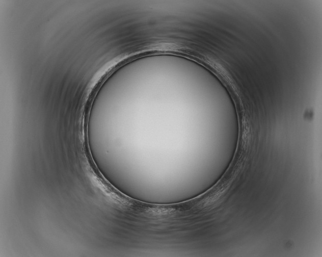 X0000115300939200911161654