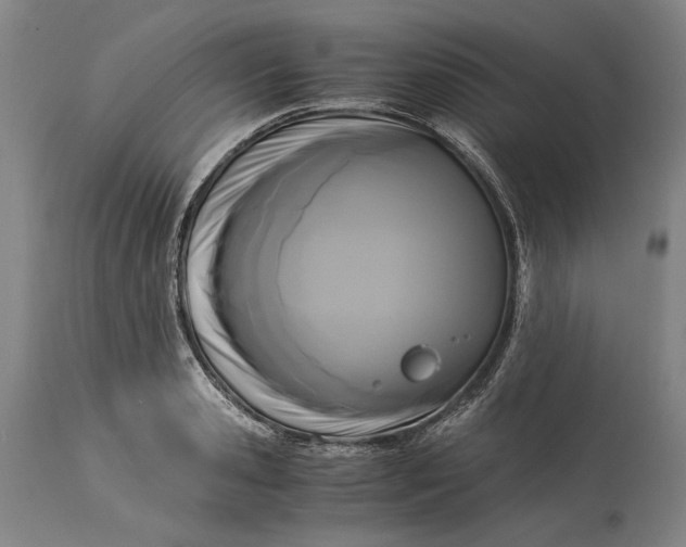 X0000115300941200911161654