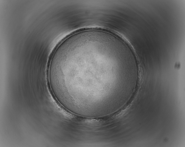 X0000115300943200911161654