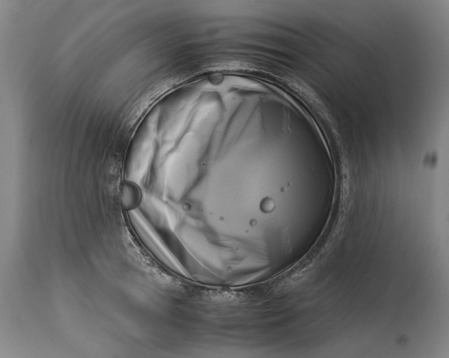 X0000115300945200911161654