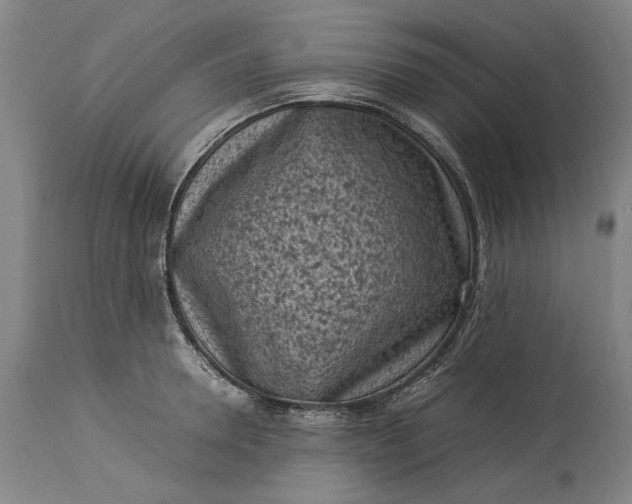 X0000115300946200911161654