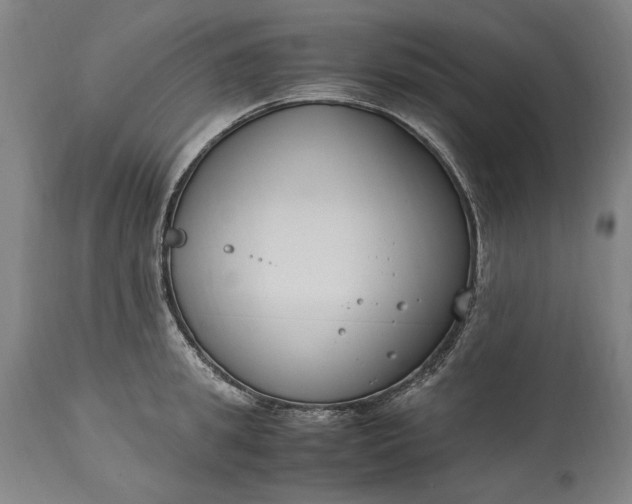 X0000115300949200911161654