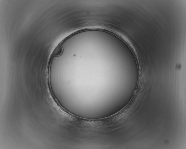 X0000115300951200911161654