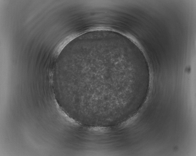 X0000115300953200911161654