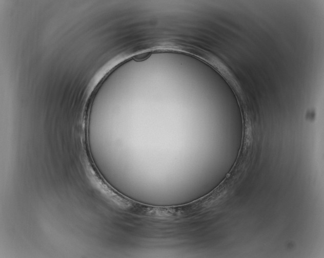 X0000115300955200911161654