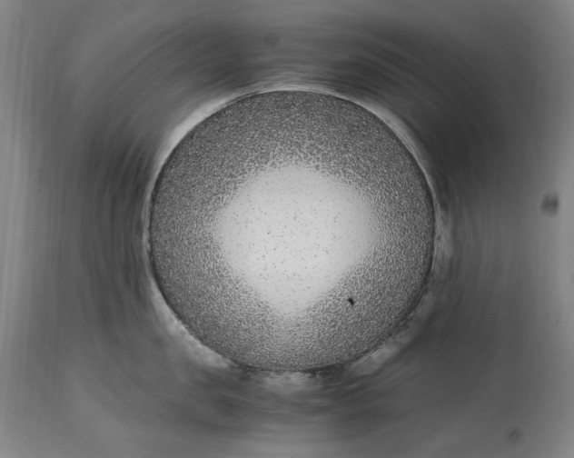 X0000115300957200911161654