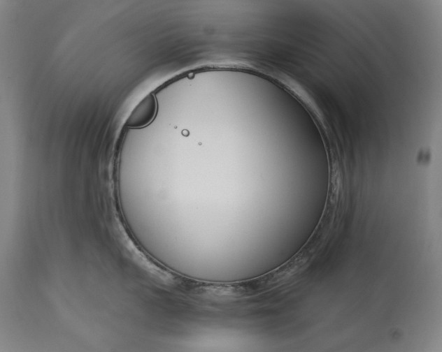 X0000115300959200911161654