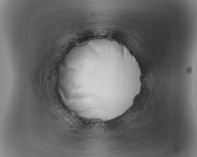 X0000115300961200911161654