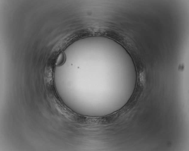 X0000115300963200911161654