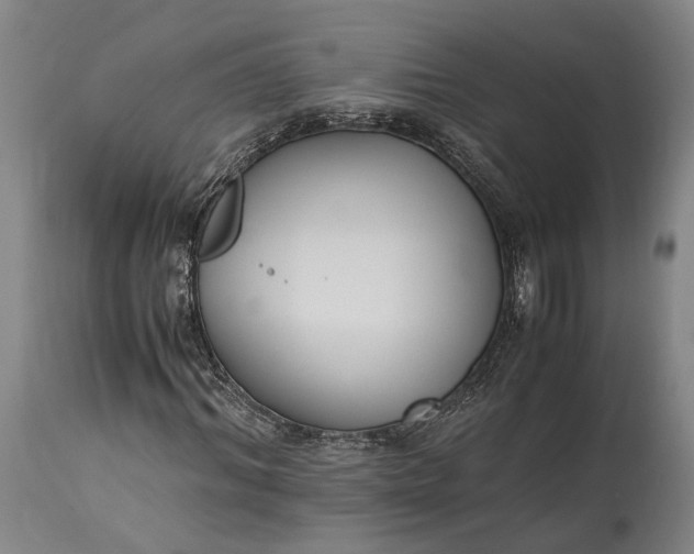 X0000115300964200911161654