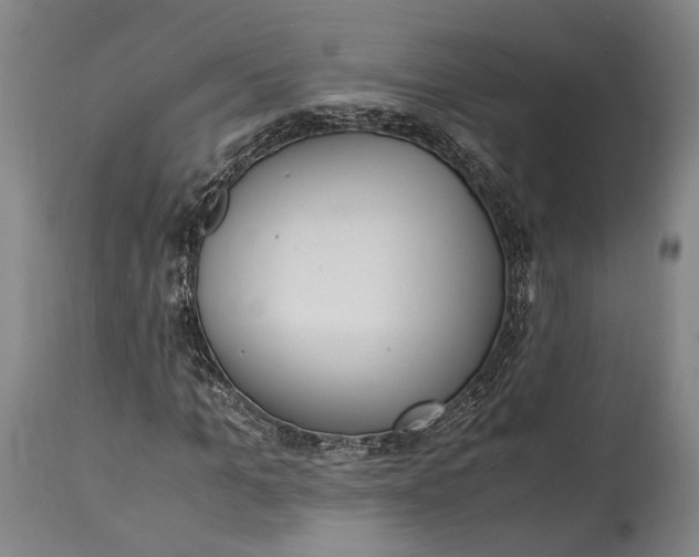 X0000115300965200911161654