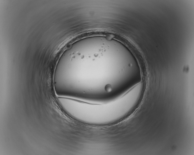 X0000115300969200911161654