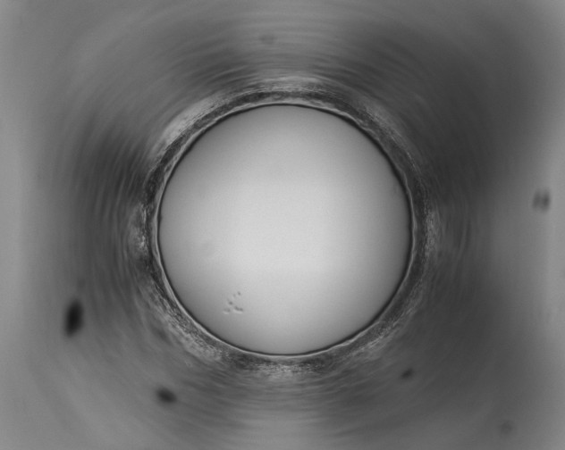 X0000115300970200911161654