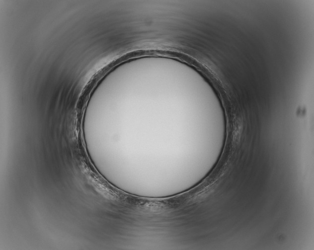 X0000115300974200911161653